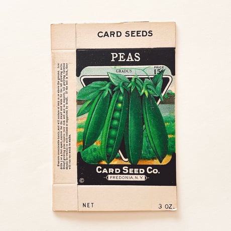 シードパケット　種袋　箱　アメリカ　PEAS GRADUS