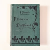 ドイツ　Sturm’s Flora von Deuchland 10 (1904)　植物図鑑