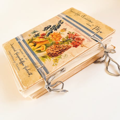ドイツ　図鑑セット　Heimische Kräuter und Pilze　1925年