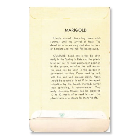 シードパケット　種袋　アメリカ　Marigold - Real Gold