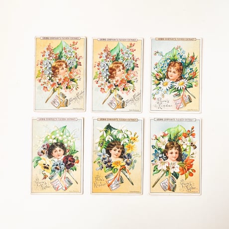 リービッヒ　トレーディングカード　LIEBIG TRADE CARDS　Flora's03