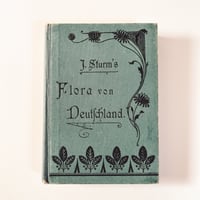 ドイツ　Sturm’s Flora von Deuchland 6 (1904)　植物図鑑