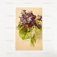 チェコスロバキア　スミレの花束　ポストカード