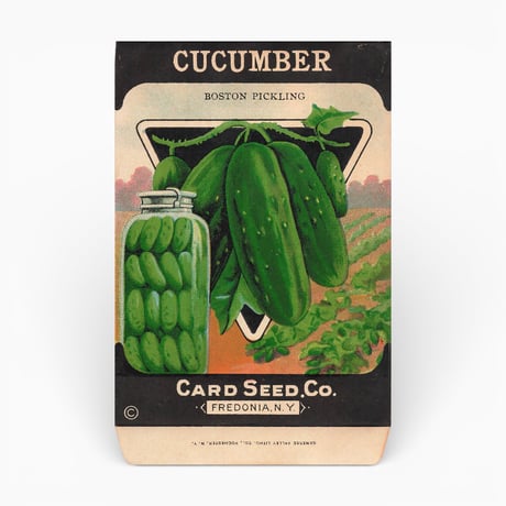 シードパケット　種袋　アメリカ　CUCUMBER