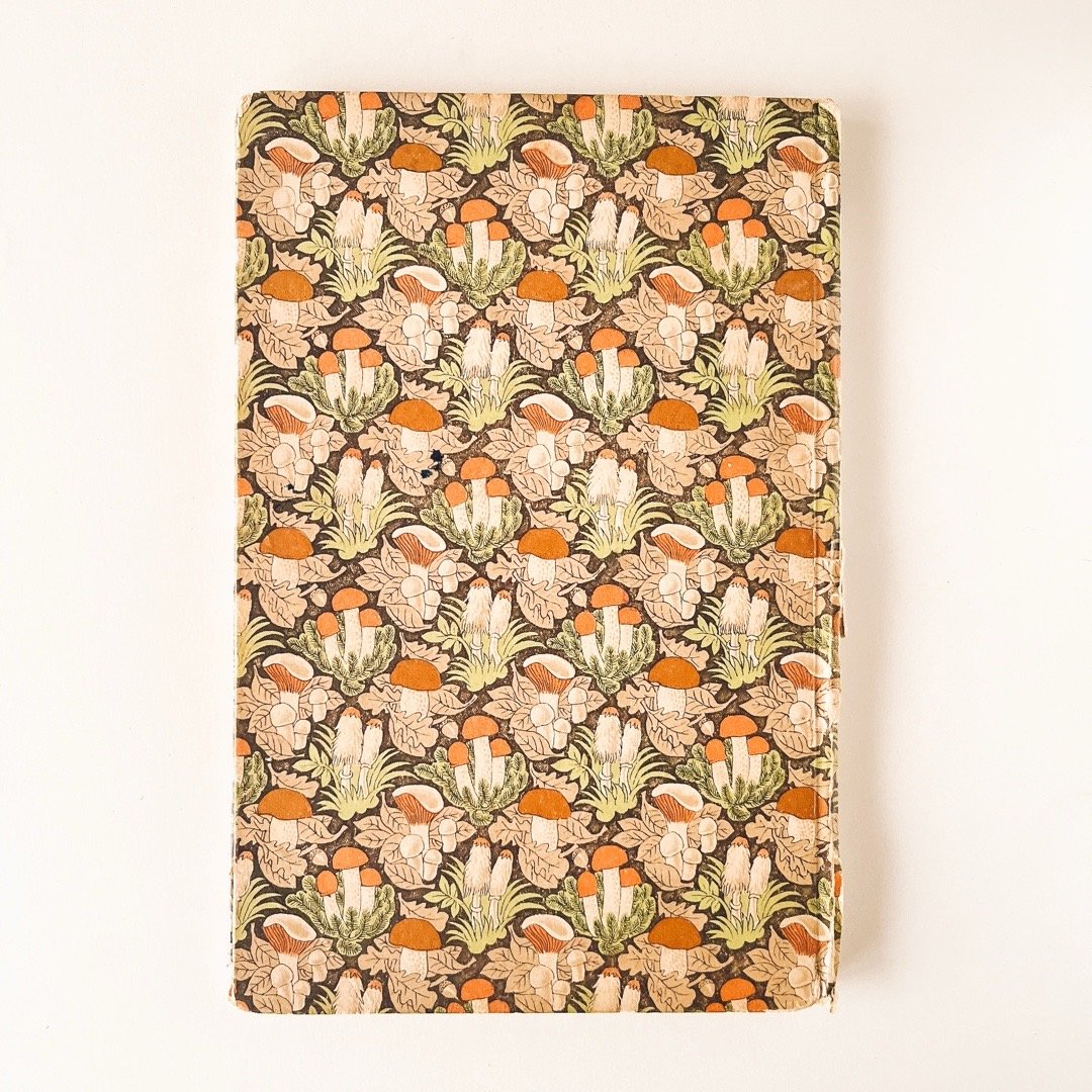 ドイツ インゼル文庫「Das kleine Pilzbuch」No.503（きのこ図鑑） 19