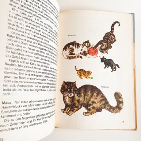 東ドイツ　Katze Hund und bunte Fische　1979年