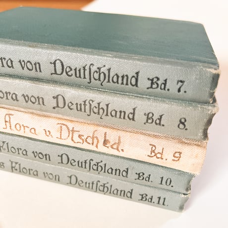 ドイツ　Sturm’s Flora von Deuchland 9 (1904)　植物図鑑