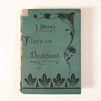 ドイツ　Sturm’s Flora von Deuchland 3 (1904)　植物図鑑