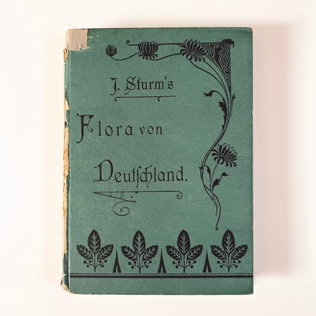 ドイツ　Sturm’s Flora von Deuchland 3 (1904)　植物図鑑