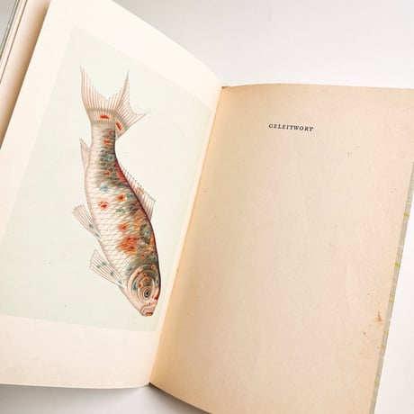 ドイツ　インゼル文庫「Der kleine Goldfischteich」 No.255（金魚図鑑）1934年