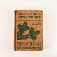 ドイツ　Unsere Waldbäume und Sträucher (1910)