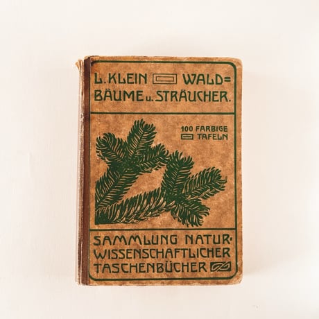 ドイツ　Unsere Waldbäume und Sträucher (1910)