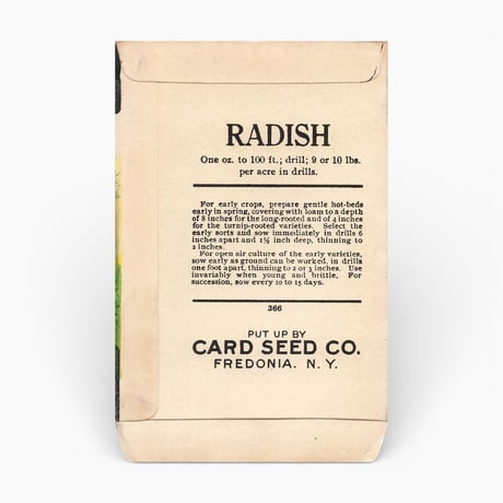 シードパケット　種袋　アメリカ　RADISH EARLY RED TURNIP