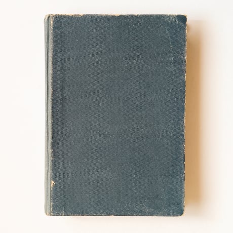 ドイツ　Sturm’s Flora von Deuchland 15 (1904)　植物図鑑