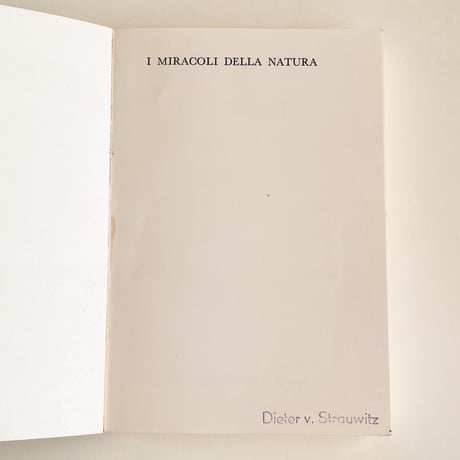 イタリア　きのこ図鑑　I FUNGHI (Italy, 1974)