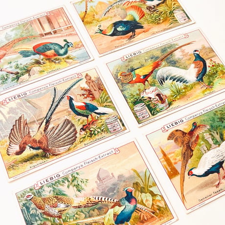 リービッヒ　トレーディングカード　LIEBIG TRADE CARDS　鳥01