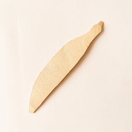 ダイカット　厚紙 　ズッキーニ