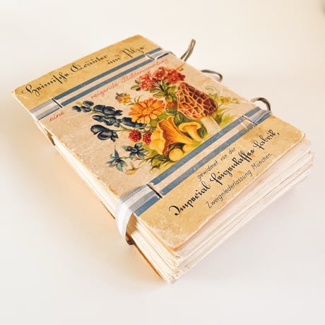 ドイツ　図鑑セット　Heimische Kräuter und Pilze　1925年