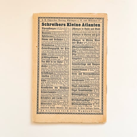 ドイツ　植物図鑑　Bäume und Sträucher, Heft 2, 1934