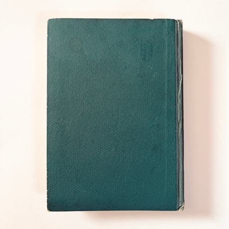ドイツ　Sturm’s Flora von Deuchland 7 (1904)　植物図鑑