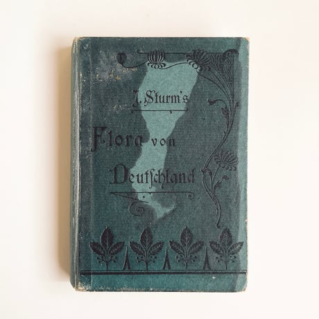 ドイツ　Sturm’s Flora von Deuchland 13 (1904)　植物図鑑