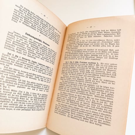 ドイツ　植物図鑑　Bäume und Sträucher, Heft 2, 1934