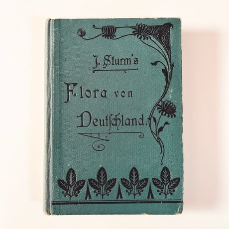 ドイツ　Sturm’s Flora von Deuchland 11 (1904)　植物図鑑