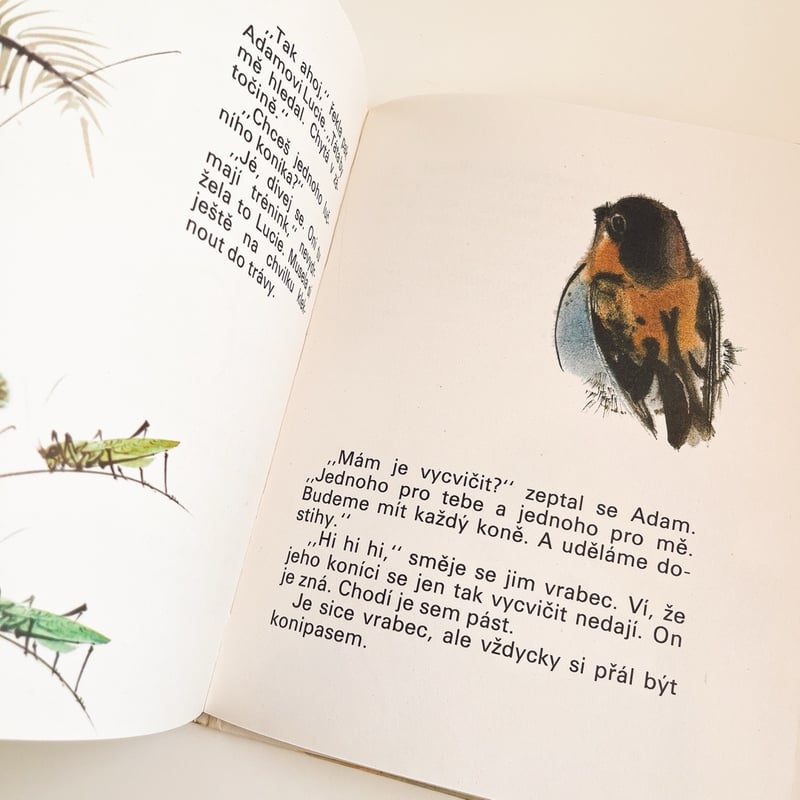 チェコスロバキア Motýl pro tebe 1983年 ミルコ・ハナーク | こぐま舎