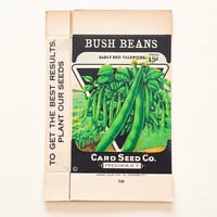 シードパケット　種袋　箱　アメリカ　BUSH BEANS EARLY