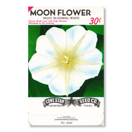 シードパケット　種袋　アメリカ　Moon Flower  - Night Blooming White