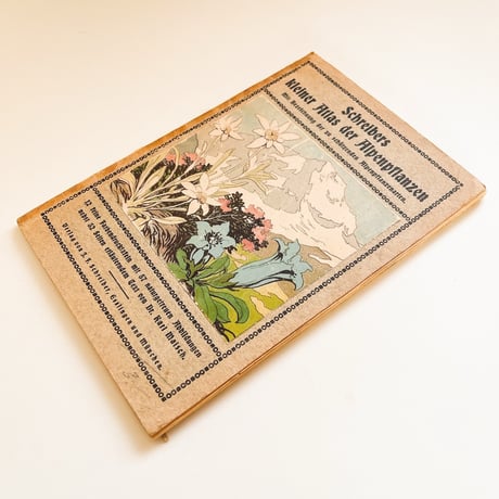 ドイツ　植物図鑑　Schreibers Kleiner Atlas der Alpenpflanzen, 1934