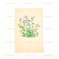 チェコスロバキア　お花畑のイラスト　ポストカード