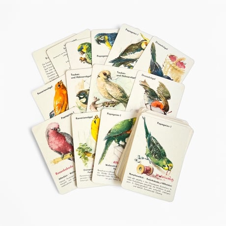東ドイツ　カードゲーム　Bunte Vögel im Heim　1960年代　箱入り