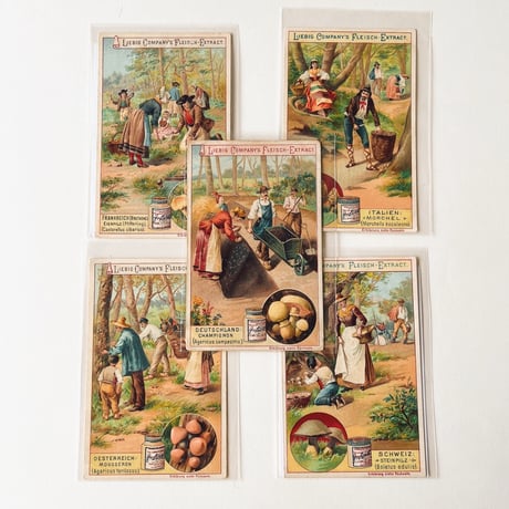 リービッヒ　トレーディングカード - 1897 - Pilze, Italien: Morchel [3] (No. 1111)