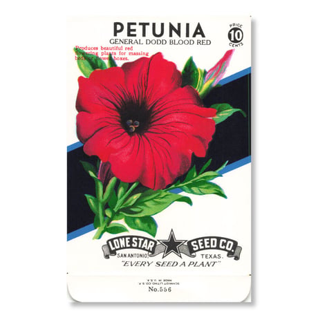 シードパケット　種袋　アメリカ　Petunia - General Dodd Blood Red