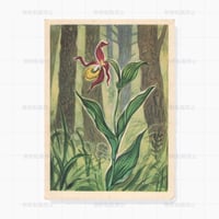 ソビエト　ランの花　ポストカード