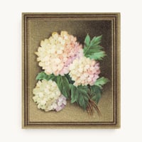 ドイツ　シガレットカード　No.60