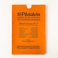 ドイツ　10 Pilztafeln　きのこ　イラストカード　1920年代