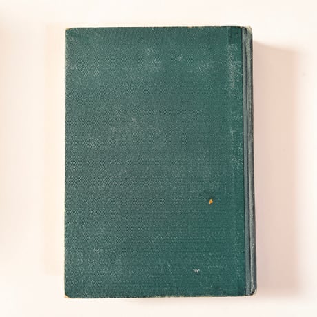 ドイツ　Sturm’s Flora von Deuchland 10 (1904)　植物図鑑