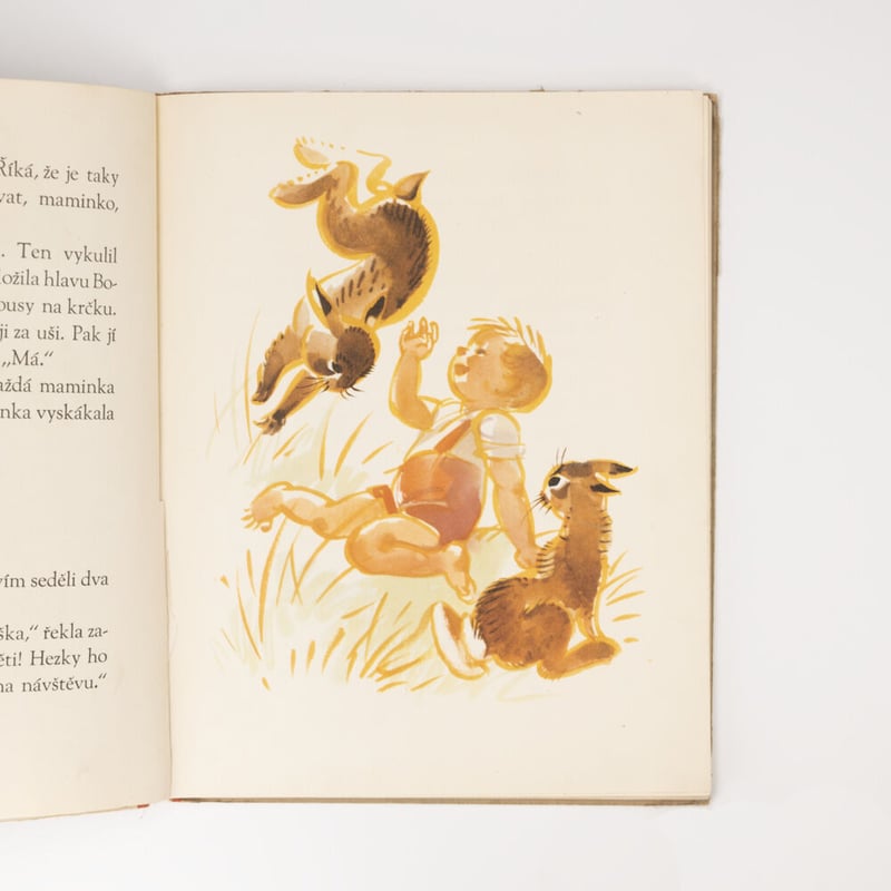 チェコスロバキア Bohul u zajíčků 1948年 アントニン・ポスピシル