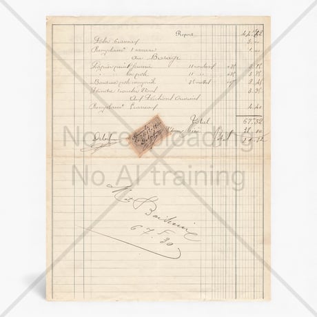 フランス　ヴィンテージペーパー (Debaisieux Frères)