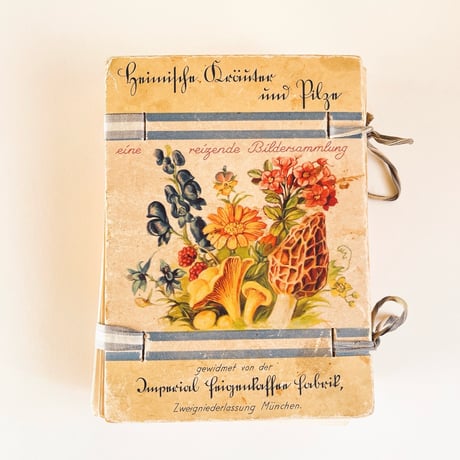 ドイツ　図鑑セット　Heimische Kräuter und Pilze　1925年