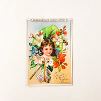 リービッヒ　トレーディングカード　LIEBIG TRADE CARDS　Flora's04