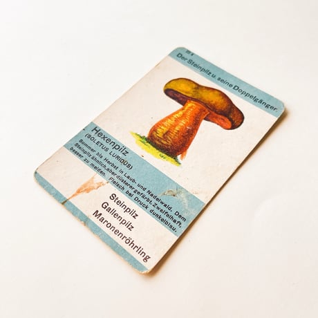 ドイツ　ヴィンテージ　きのこカード　バラ売り　Hexenpilz