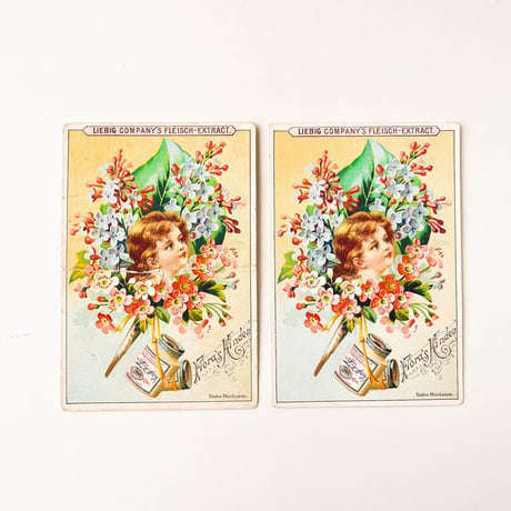 リービッヒ　トレーディングカード　LIEBIG TRADE CARDS　Flora's02