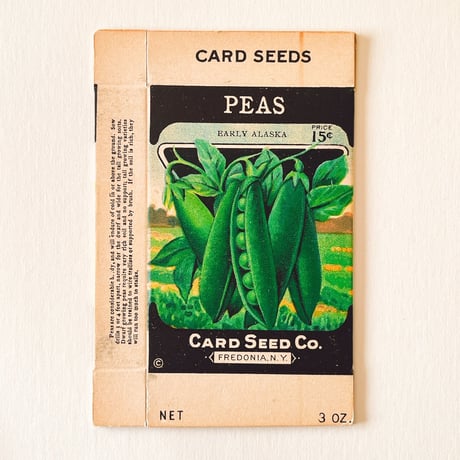 シードパケット　種袋　箱　アメリカ　PEAS EARLY ALASKA
