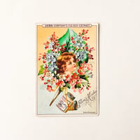 リービッヒ　トレーディングカード　LIEBIG TRADE CARDS　Flora's02