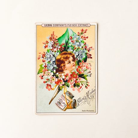 リービッヒ　トレーディングカード　LIEBIG TRADE CARDS　Flora's02