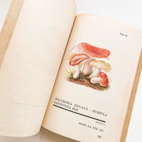 チェコスロバキア　きのこ図鑑　Atlas Holubinek　1945年