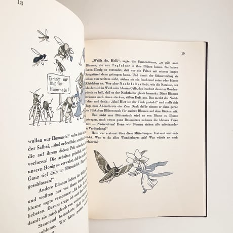 オーストリア　In der Heimat der Blumen　1950年
